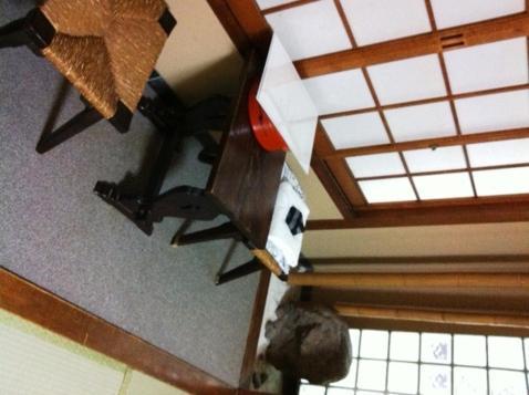 Ryokan Kyoka Киото Екстериор снимка